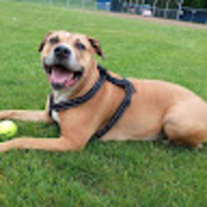 Meet your Posher, Jen